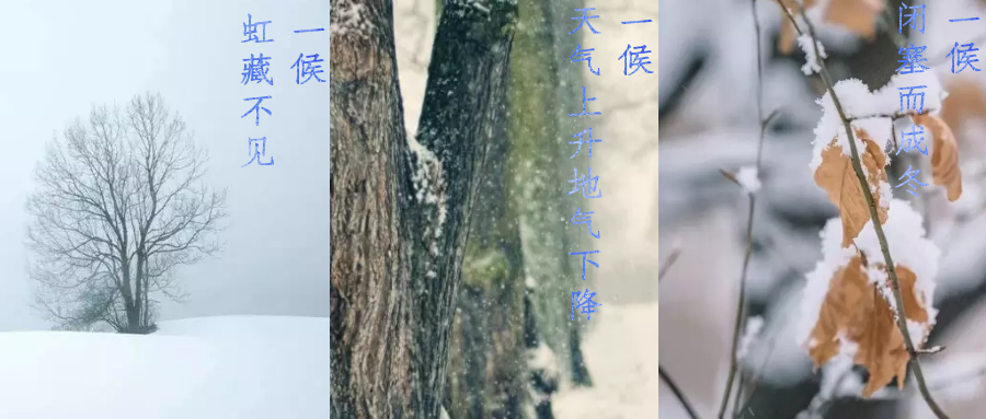 今日小雪，寒潮來襲，洗瓶機(jī)來幫你解放雙手吧！